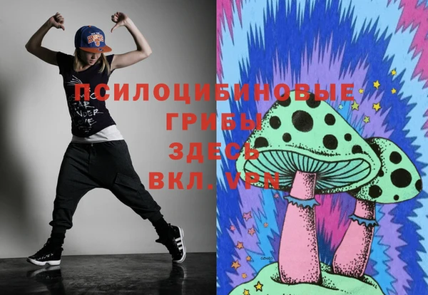 mdpv Бугульма