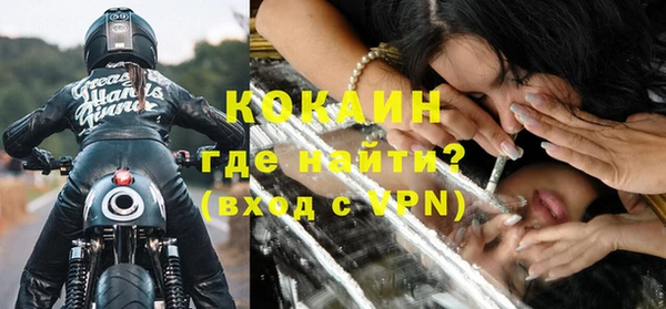 дурь Бородино