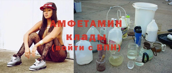 дурь Бородино