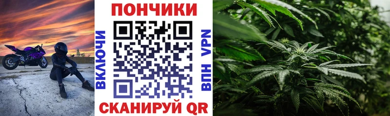 Шишки марихуана OG Kush Горняк